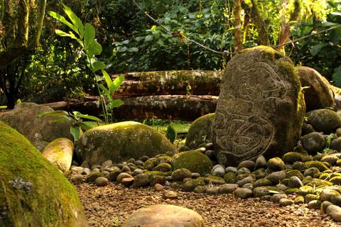 Sarapiquis Rain Forest Lodge Costa Rica