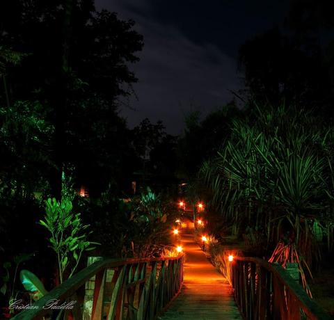 Chachagua Rain Forest Eco Lodge Costa Rica