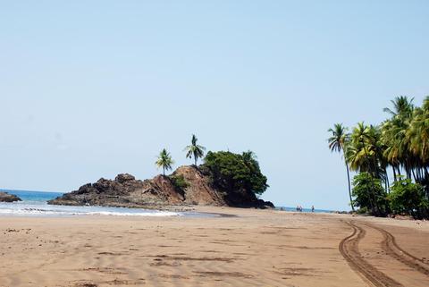 Coconut Grove Costa Rica