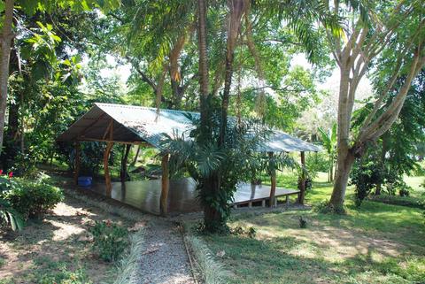 Coconut Grove Costa Rica
