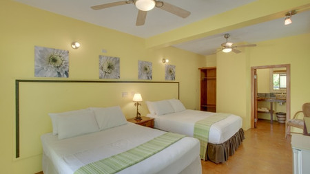 Coconut Row photo 3