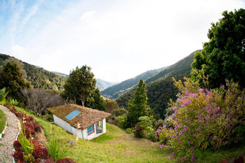 Dantica Cloud Forest Lodge photo 2