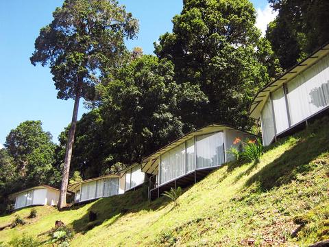 Dantica Cloud Forest Lodge Costa Rica