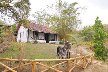 Eco Venao photo 5