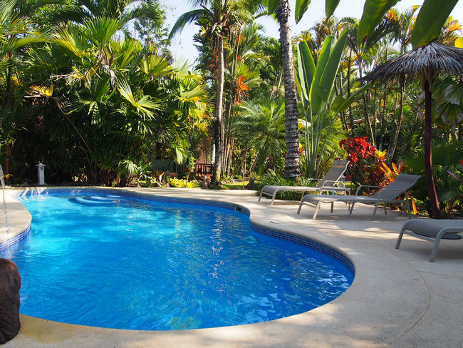El Encanto Bed & Breakfast photo