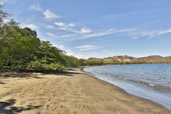 El Mangroove photo 2