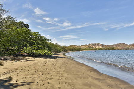 El Mangroove photo 2
