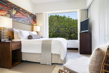 El Mangroove photo 5