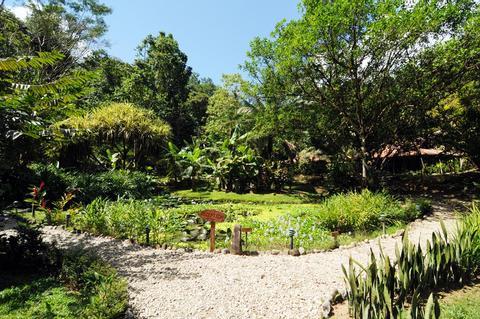 Esquinas Rainforest Lodge Costa Rica