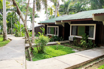 Ceiba Tops photo 3