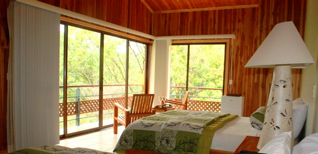 Ficus Sunset Suite photo