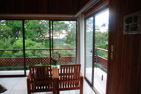Ficus Sunset Suite