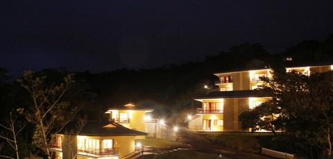 Ficus Sunset Suite Costa Rica