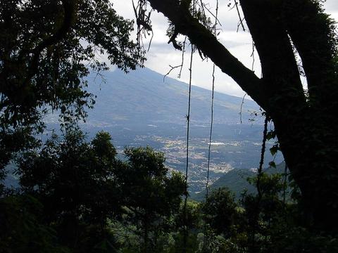 Filadelfia Coffee Resort Guatemala
