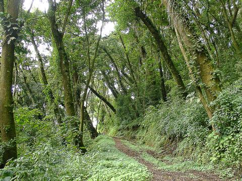 Filadelfia Coffee Resort Guatemala