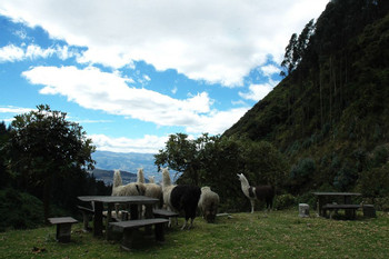 Hacienda Rumiloma photo 5