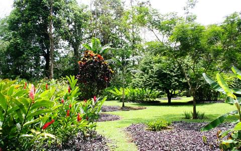 Alojamiento con Desayuno Heliconia Island Costa Rica