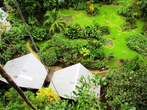 Alojamiento con Desayuno Heliconia Island Costa Rica