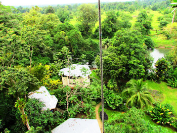 Alojamiento con Desayuno Heliconia Island photo 4