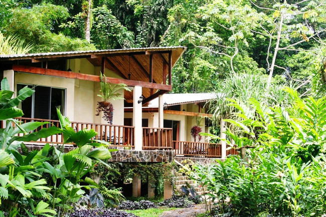Alojamiento con Desayuno Heliconia Island photo