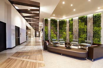 Hilton Garden Inn Sabana photo 5