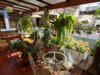 Hostal El Patio  photo 3
