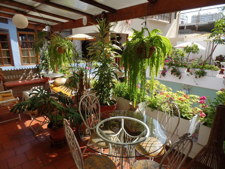 Hostal El Patio  photo 3