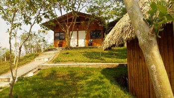 Hostal Oasis photo 5