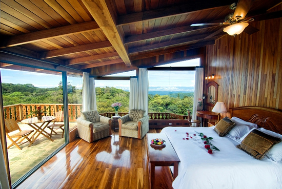 Chalet Deluxe - Cloud Forest Studio Photo