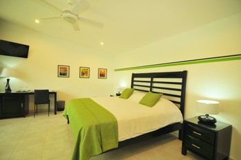 Bocas del Mar photo 3