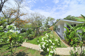 Bocas del Mar photo 2