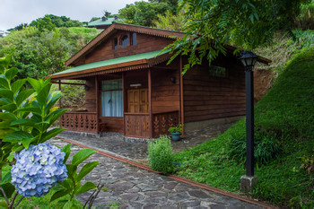 Hotel Heliconia photo 4