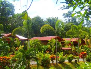 Heliconias Nature Inn