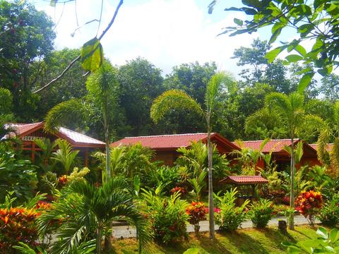 Heliconias Nature Inn