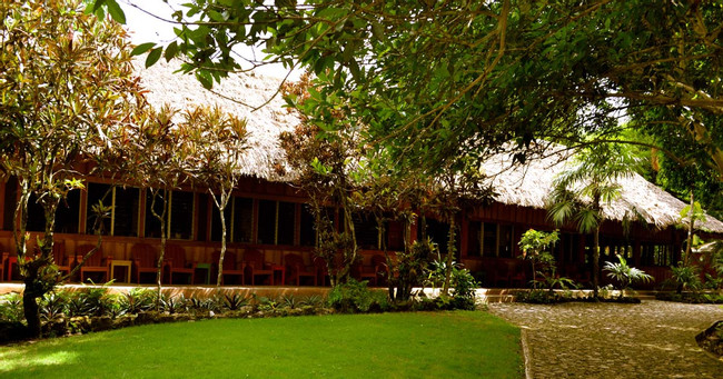 Jungle Lodge Hotel photo