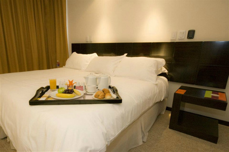 Hotel Mercure Alameda