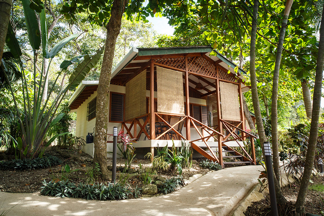 Hotel Oasis Mal País Photo