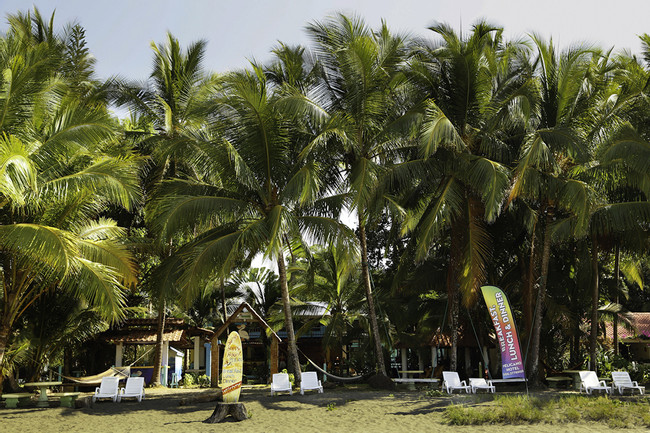 Hotel Pelicanos photo