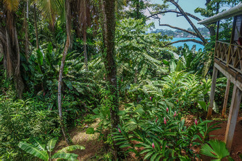 Hotel Punta Rica photo 4