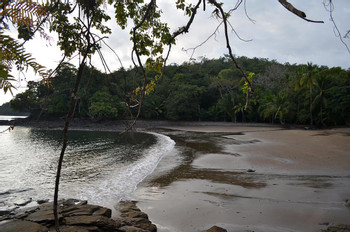 Howlers Bay photo 4
