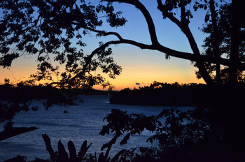 Howlers Bay photo 2