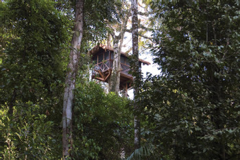 Inkaterra Reserva Amazonica Tambopata photo 3