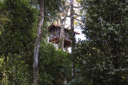 Inkaterra Reserva Amazonica Tambopata photo 3