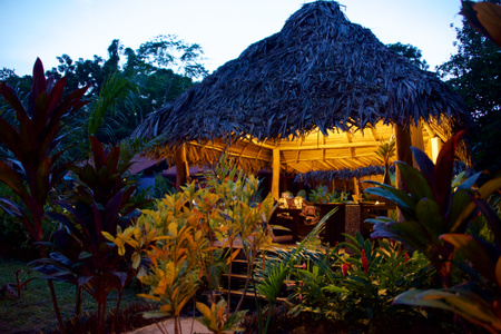 Island Plantation