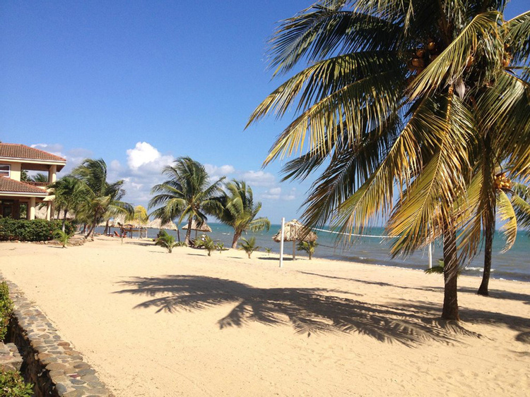 Jaguar Reef Lodge photo