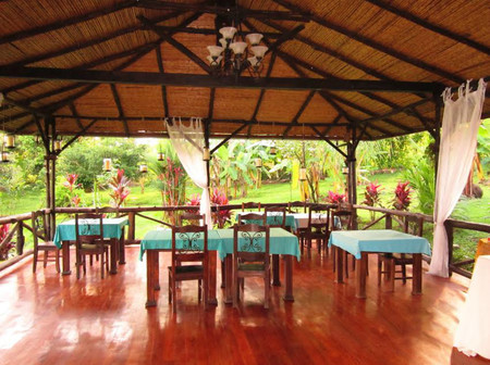 Kokoro Arenal photo 3