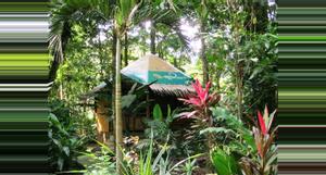 Costa Rica Korrigan Lodge