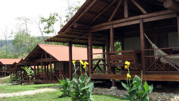 Rancho La Anita Rainforest photo 4