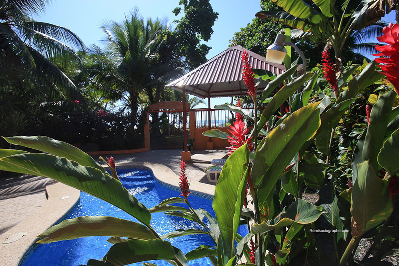 Hotel La Dolce Vita photo