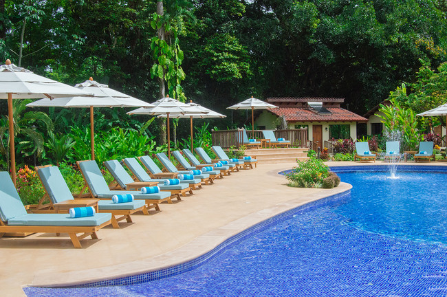 La Foresta Nature Resort photo